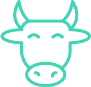 100% GRASS FED BEEF